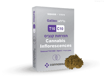 תפרחת גלילאו - T10/C10 - Galileo