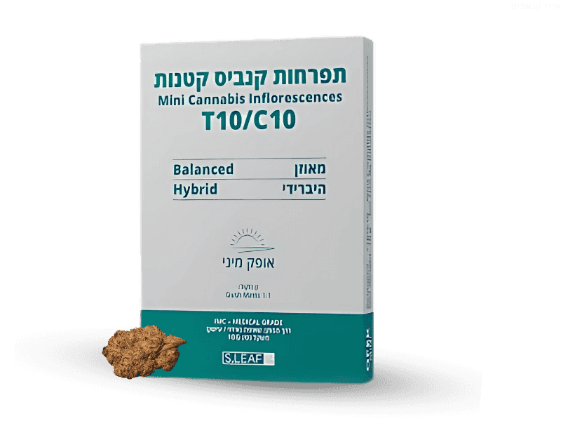קנאביס רפואי תפרחת אופק מיני -  T10/C10 - Ofek Mini שוגר ליף קאן יום\לילה - היברידי