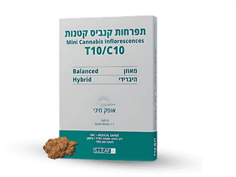 תפרחת אופק מיני -  T10/C10 - Ofek Mini