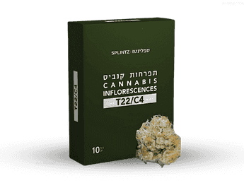 תפרחת ספלינז - T22/C4 - Splinz