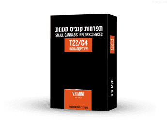 תפרחת וי אר מיניז - T22/C4 - VR Miniz
