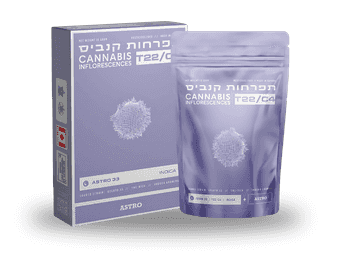תפרחת אסטרו 33 - T22/C4 - Astro 33