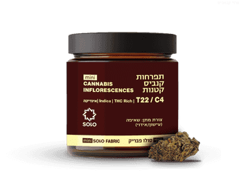 תפרחת סולו פבריק מיני - T22/C4 - Solo Fabric Mini