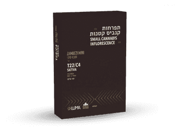 תפרחת זמבזי מיני - T22/C4 - ZAMBEZI MINI