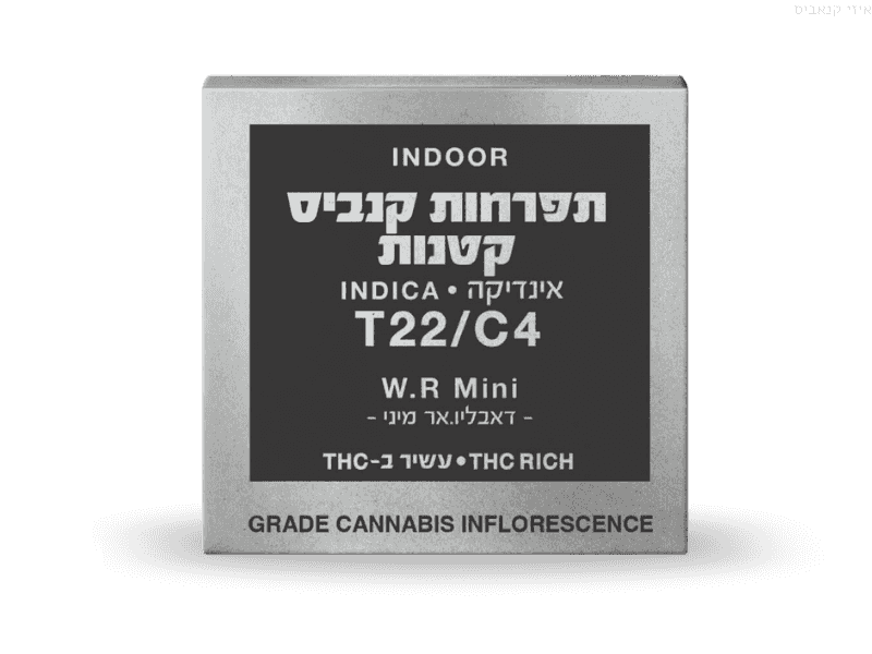 קנאביס רפואי תפרחת דאבליו.אר מיני - T22/C4 - W.R Mini קנאבר לילה - אינדיקה
