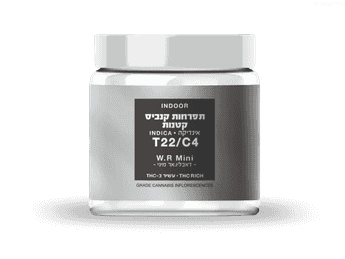 תפרחת דאבליו.אר מיני - T22/C4 - W.R Mini