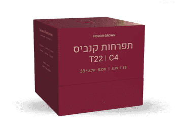 תפרחת אס פי אל טי 33 - T22/C4 - S.P.L.T 33