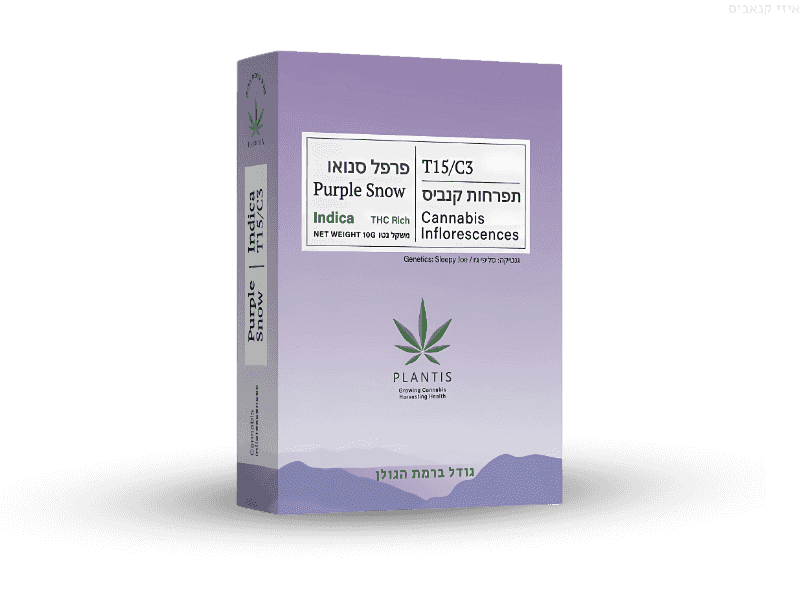 קנאביס רפואי תפרחת פרפל סנואו - T15/C3 - Purple Snow פלאנטיס לילה - אינדיקה