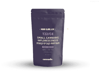 תפרחת גר.ליקס מיני - T22/C4 - Gar.Lix Mini