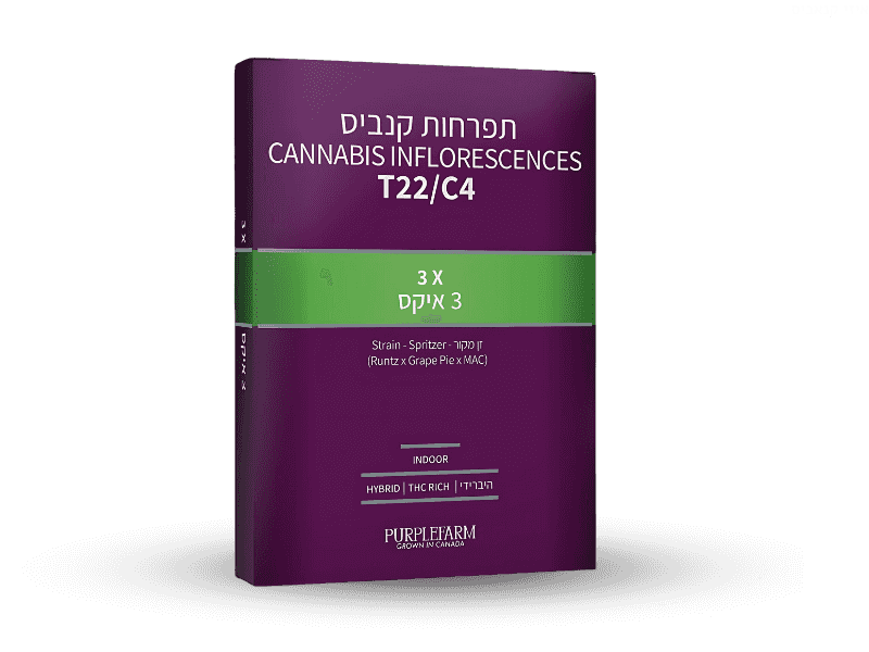 קנאביס רפואי תפרחת 3 איקס - T22/C4 - 3X קנדוק יום\לילה - היברידי