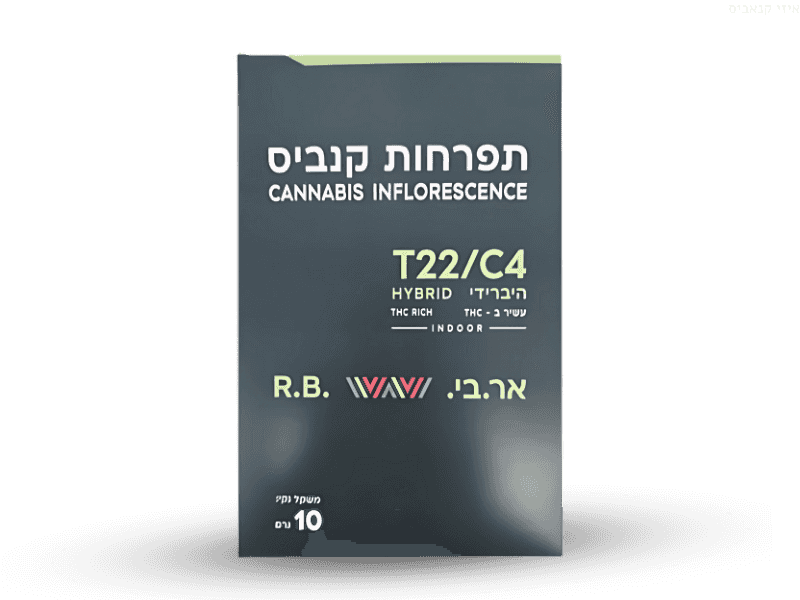 קנאביס רפואי תפרחת אר.בי  - T22/C4 - R.B אן די אן לילה - אינדיקה