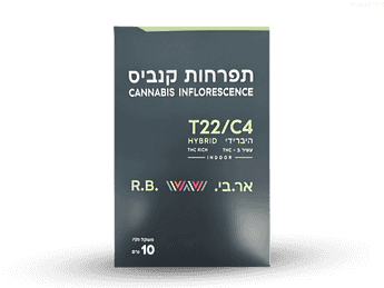 תפרחת אר.בי  - T22/C4 - R.B