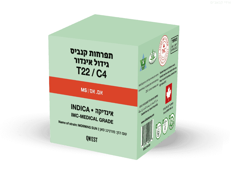 קנאביס רפואי תפרחת אם.אס - T22/C4 - M.S ג'י בי פארמה לילה - אינדיקה