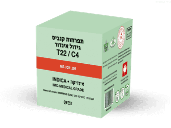 תפרחת אם.אס - T22/C4 - M.S