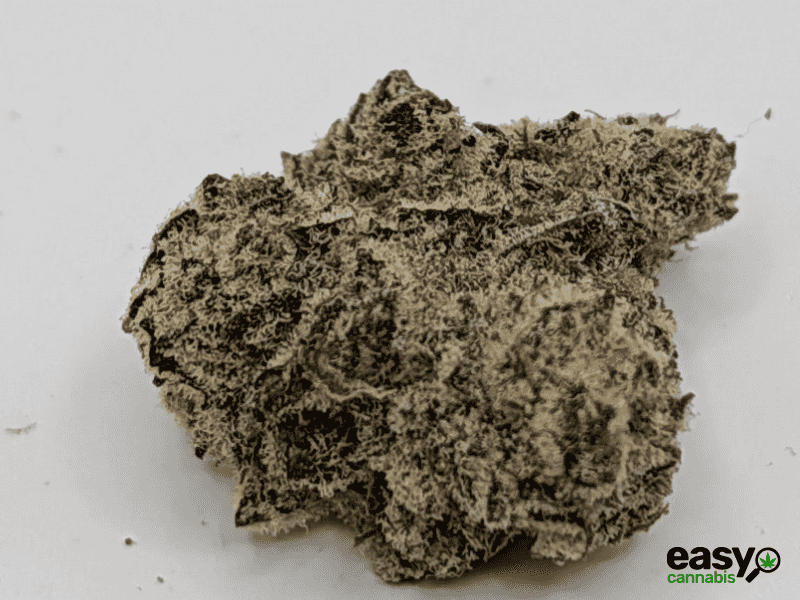 קנאביס רפואי תפרחת אף.אף - T22/C4 - F.F קנאבר לילה - אינדיקה