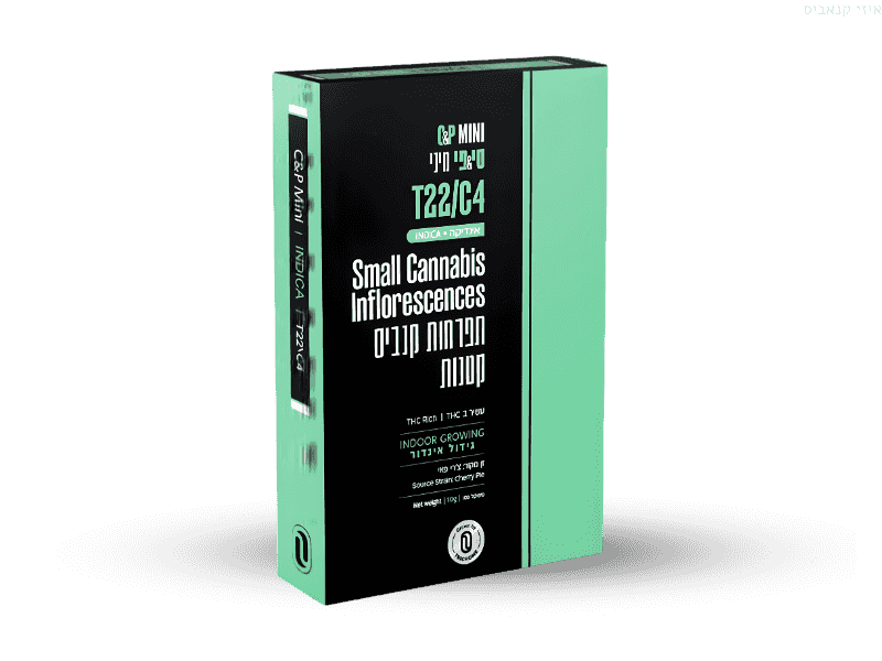 קנאביס רפואי תפרחת סי&פי מיני - T22/C4 - C&P Mini טריכום לילה - אינדיקה