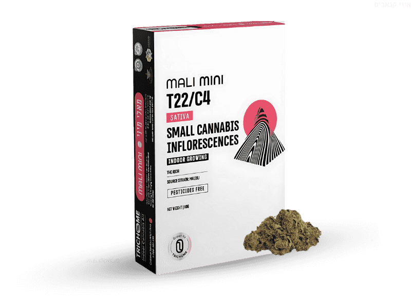 קנאביס רפואי תפרחת מאלי מיני - T22/C4 - ‎Mali Mini טריכום יום - סאטיבה