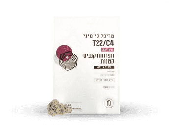 תפרחת טריפל סי מיני - T22/C4 - Triple C Mini