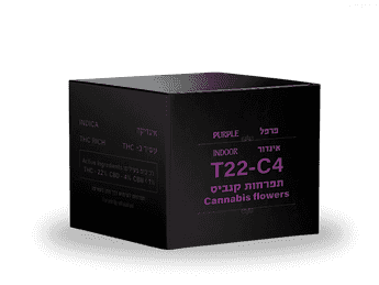 תפרחת פרפל - T22/C4 - PURPLE