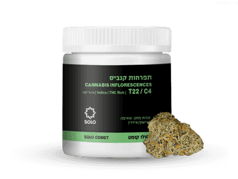 תפרחת סולו קומט - T22/C4 - SOLO COMET