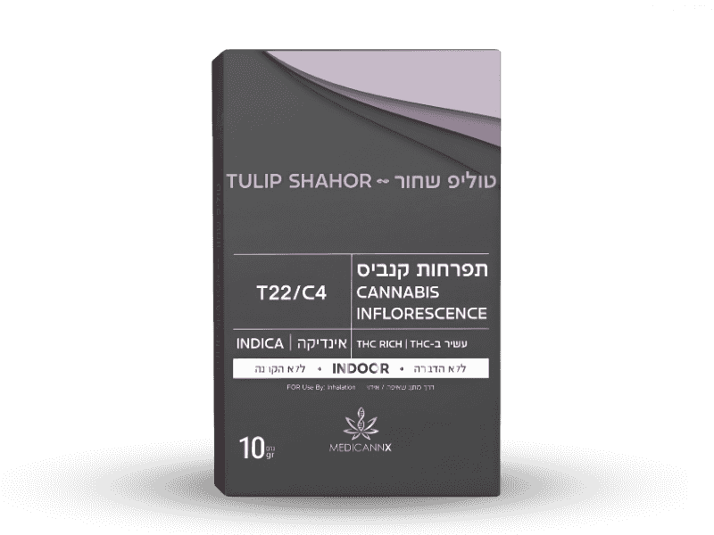 קנאביס רפואי תפרחת בלאק טוליפ - T22/C4 - Black Tulip מדיקן איקס לילה - אינדיקה