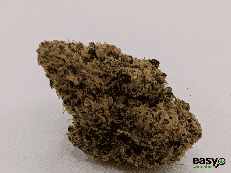 קנאביס רפואי תפרחת פי אר  - T22/C4 - PR פלאנטק מדיקל לילה - אינדיקה