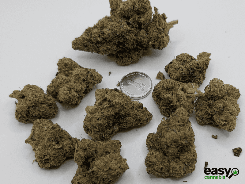 קנאביס רפואי תפרחת פי אר  - T22/C4 - PR פלאנטק מדיקל לילה - אינדיקה