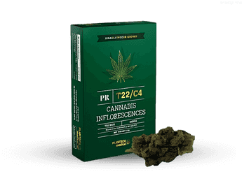 תפרחת פיי אר  - T22/C4 - PR