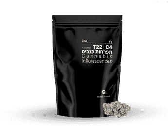 תפרחת צ'ו - T22/C4 - Cho