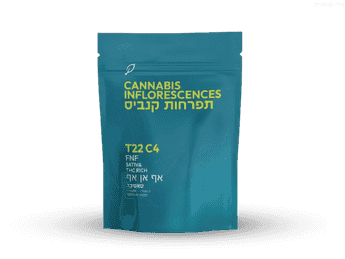 תפרחת אף.אן.אף - T22/C4 - FNF