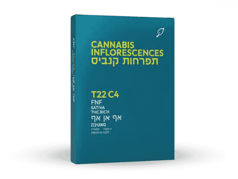 קנאביס רפואי תפרחת אף.אן.אף - T22/C4 - FNF בזלת פארמה יום - סאטיבה