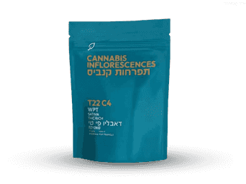 תפרחת דאבליו.פי.טי - T22/C4 - WPT