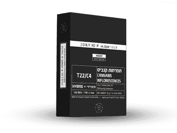 תפרחת ג'.ו.נ.י אקס.או - T22/C4 - J‎.‎O‎.‎N‎.‎Y‎ ‎XO