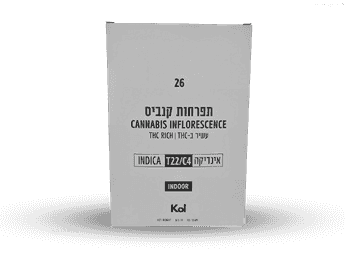 תפרחת עשרים ושש - T22/C4 - 26