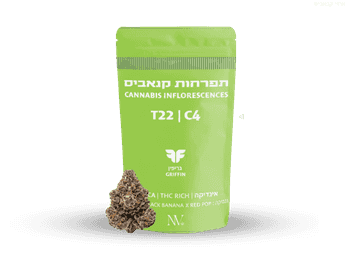 תפרחת גריפין - T22/C4 - Griffiin