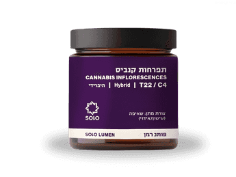 תפרחת סולו לומן - T22/C4 - SOLO Lumen