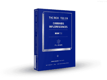 תפרחת בונטרי - T22/C4 - Bontri