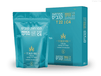 תפרחת קולור ליין טורקיז - T22/C4 - Color Line turquoise