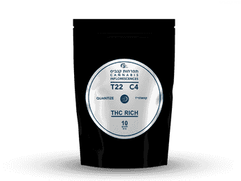 תפרחת קוואנטייז - T22/C4 - Quantize