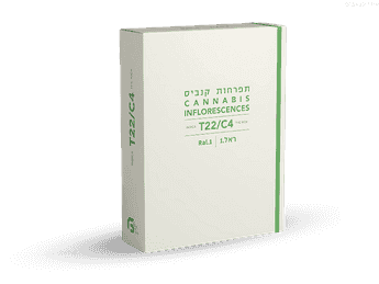 תפרחת ראל.1 - T22/C4 - RAL.1