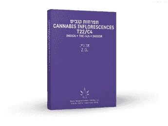 תפרחת זד.ג'י.  - T22/C4 - Z.G.