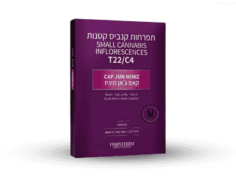 תפרחת קאפ ג'אן מיניז - T22/C4 - Cap Jun Miniz