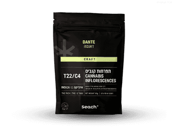 תפרחת דאנטה - T22/C4 - Dante