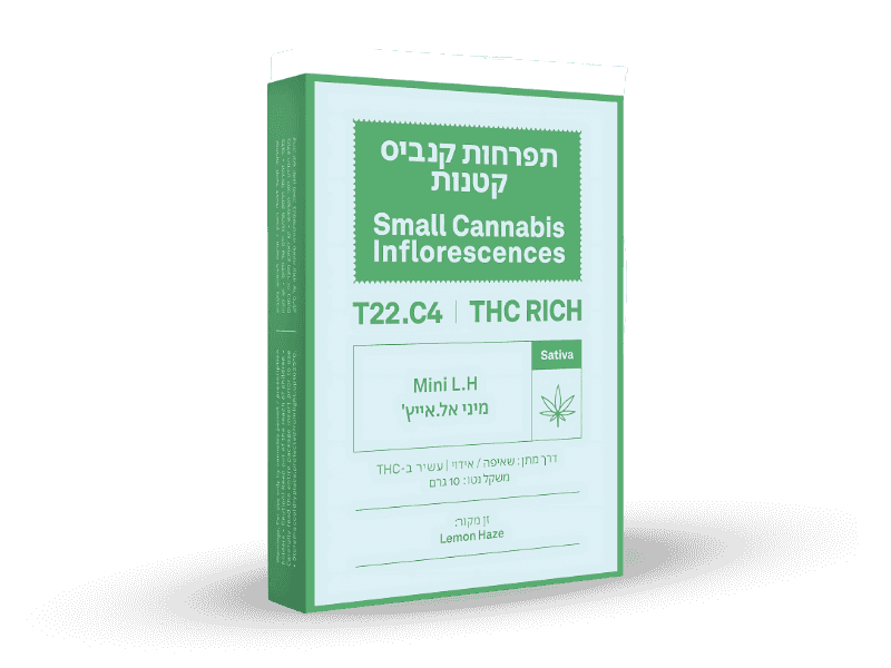 קנאביס רפואי תפרחת אל.אייץ' מיני - T22/C4 - L.H Mini איי.אמ.סי יום - סאטיבה