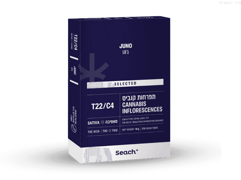 קנאביס רפואי תפרחת ג'ונו - T22/C4 - Juno שיח מדיקל יום - סאטיבה