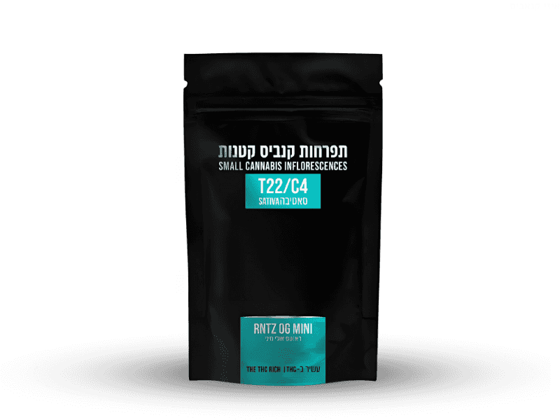 קנאביס רפואי תפרחת ראנטס אוג'י מיני - T22/C4 - Runtz OG Mini גרין האוס יום - סאטיבה