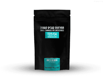 תפרחת ראנטס אוג'י מיני - T22/C4 - Runtz OG Mini