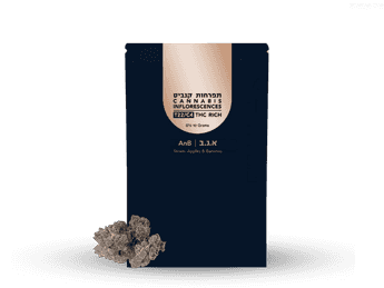 תפרחת א.נ.ב  - T22/C4 - ANB