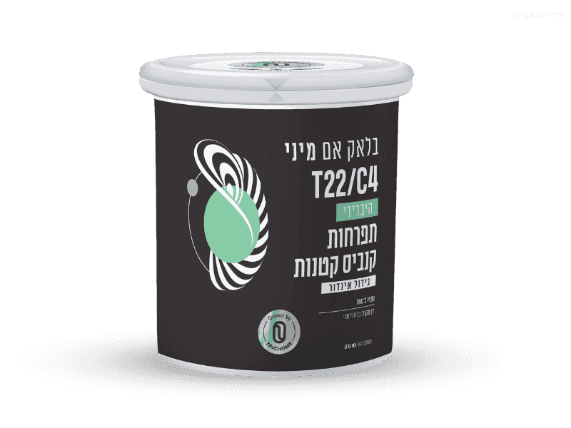 קנאביס רפואי תפרחת בלאק אם מיני - T22/C4 - Black M Mini טריכום יום\לילה - היברידי