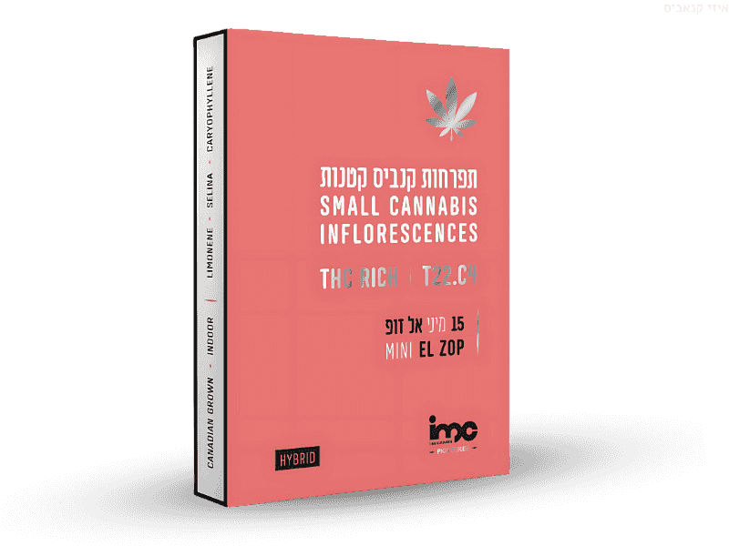 קנאביס רפואי תפרחת אל זופ 15# מיני - T22/C4 - El zop #15 Mini איי.אמ.סי יום\לילה - היברידי